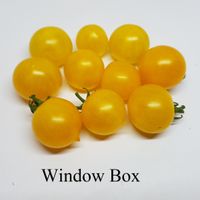 Window Box Yellow